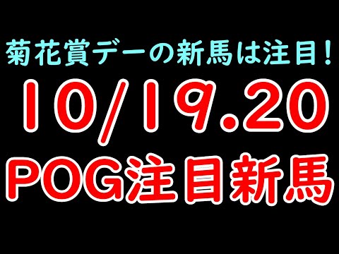 駅の旅客ビル。