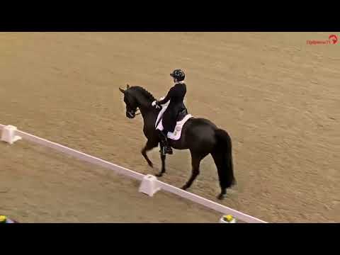 Simone Pearce  - Cadeau Noir  - Neustadt-Dosse