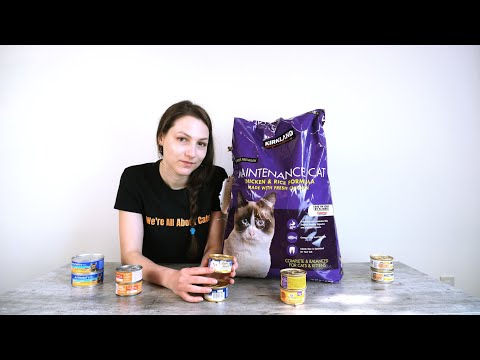 Top 6 Best Cheap Cat Foods (We Tested Them All)