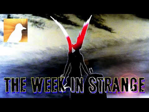 The Week in Strange: Episode 055 | The World’s Strangest News Report |