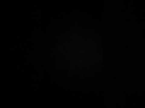 AX       maximum maxes favilion       acoustic