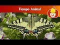 Tiempo Animal El Elefante Y La Mariposa Para Niños