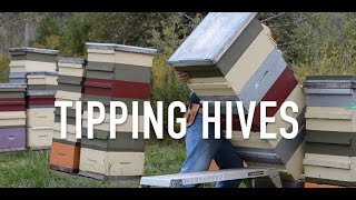 Tipping Hives