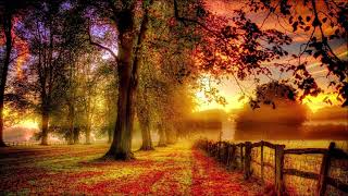 Lindsey Buckingham I`ll tell you