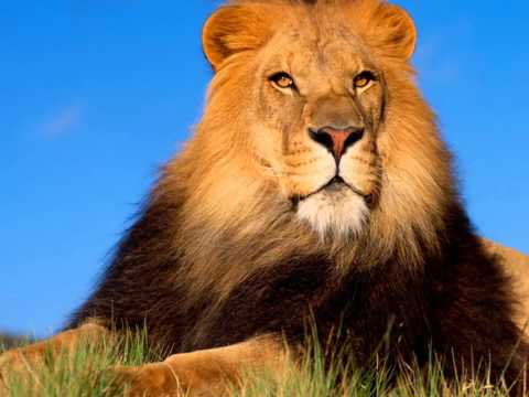 lay phyu   a pal khan