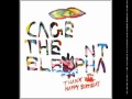 Cage The Elephant - Always Something (Thank You, Happy Birthday)