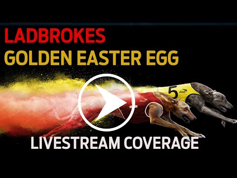 2022 Ladbrokes Golden Easter Egg Live Stream Coverage