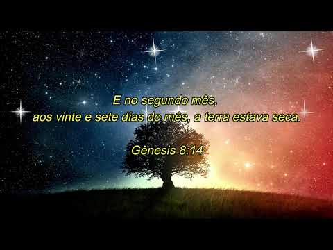 Adhemar de Campos, Trazendo a Arca e Massao / O Leão da Tribo de Judá Nosso Comandante #Gênesis 8:14