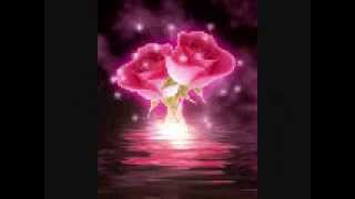 ERES TU VICTOR Y LEO