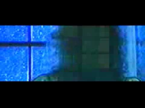 "Лети бијели голубе" Лепа Лукић