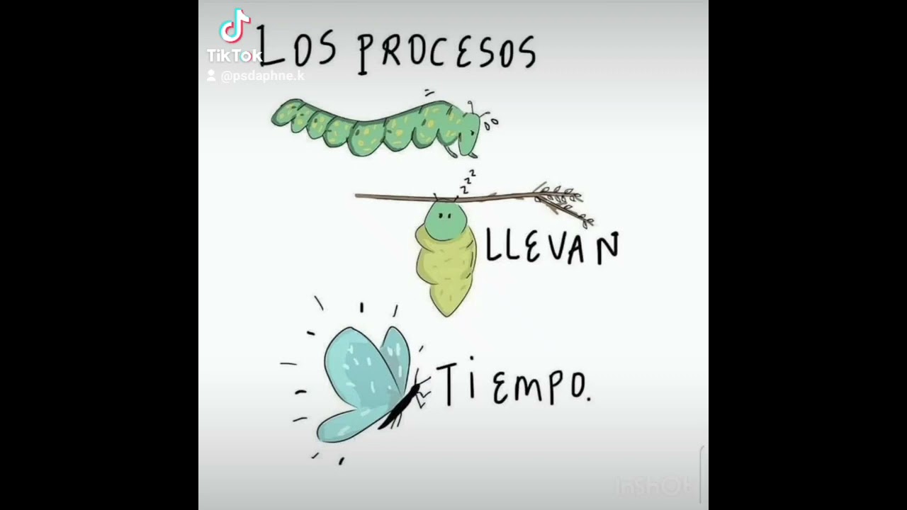 Daphne Klein Reitich-5