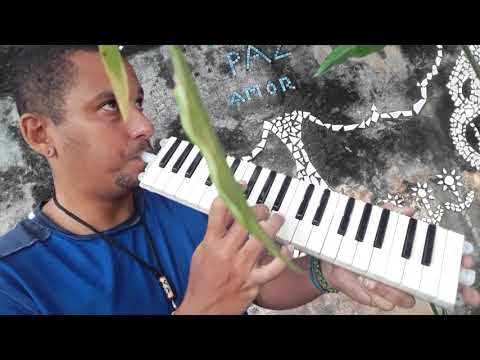 Tupinikingston / Monkey Jhayam