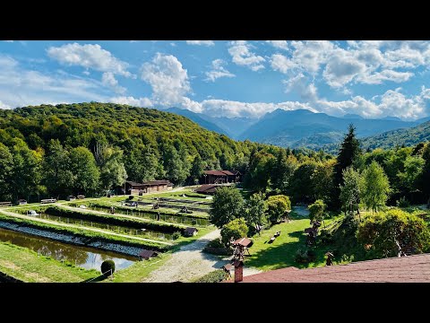 Ne-am cazat aici! Un loc superb la poalele Transfăgărășanului!