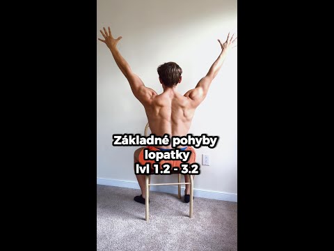 Základné pohyby lopatky lvl 1.2 - 3.2 horná a dolná rotácia