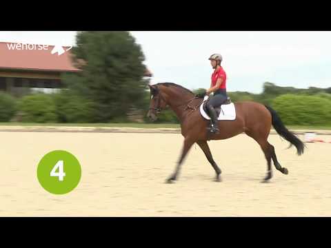 Springreiten lernen - so können Cavaletti dir helfen | Eva Deimel