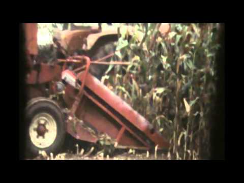 Loonw. Persyn-Steelant - Elverdinge