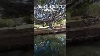 Download lagu Situasi pagi hari di Australia... mp3