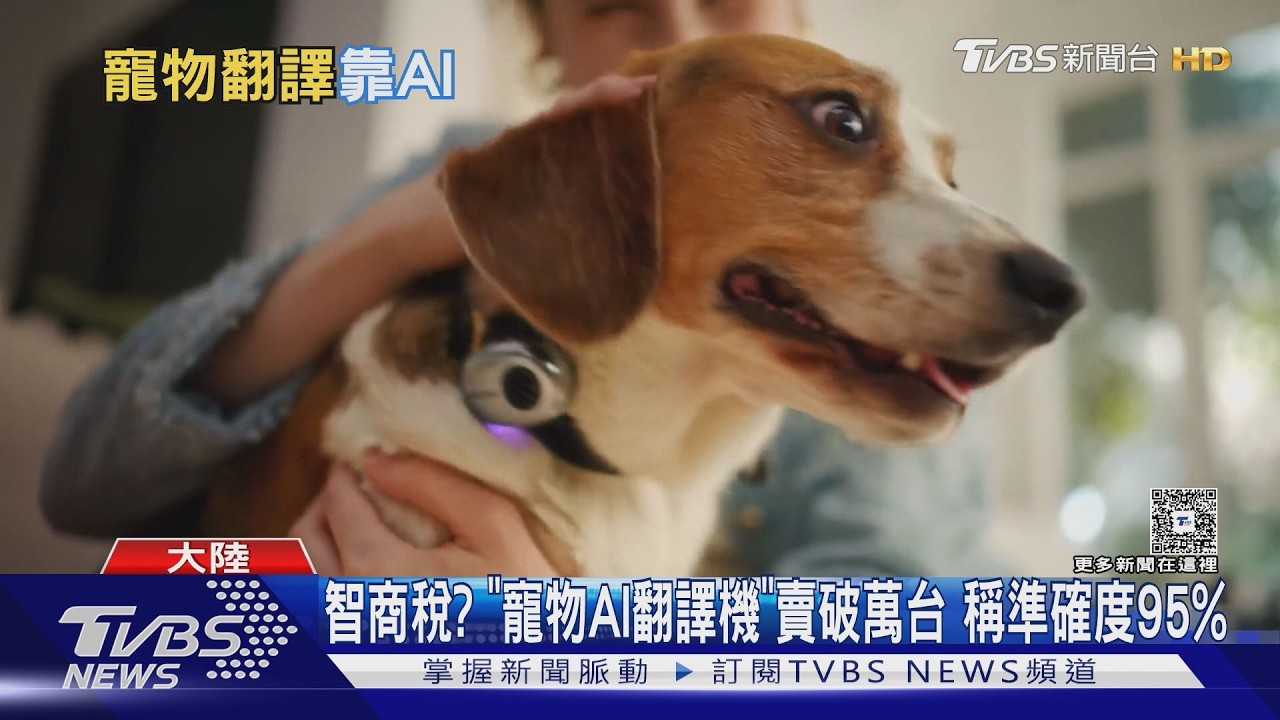 影音/陸企推「寵物AI翻譯機」喵一聲秒懂 網酸:智商檢測器