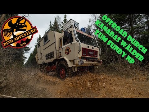 Wild Campen am Strand in Kanada | Offroad durch Kanadas Wälder | Fundy NP | S1▪ E3