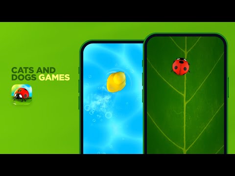 Nimble Paws - Cats & Dogs Game