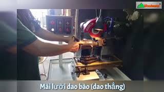 Máy mài lưỡi cưa, mài lưỡi bào, mài lưỡi tubi, router đa năng Woodmaster