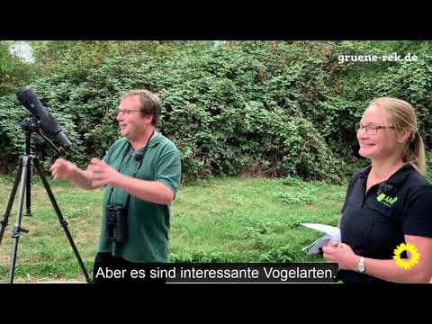Oliver Krischer, stellver. Fraktionsvorsitzender der Grünen in Bundestag