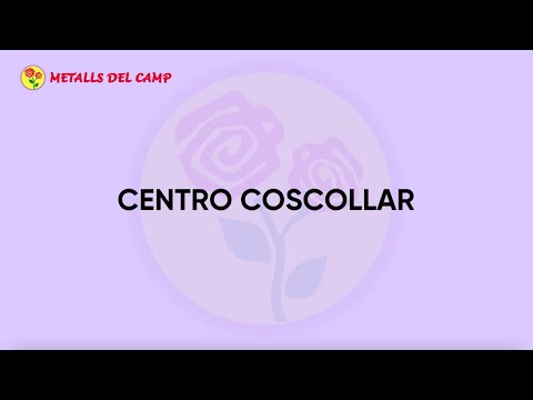 Video de instalación Centro Coscollar