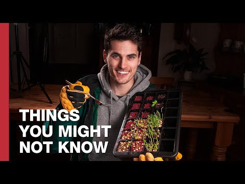 How To Grow A Martian Salad On Earth