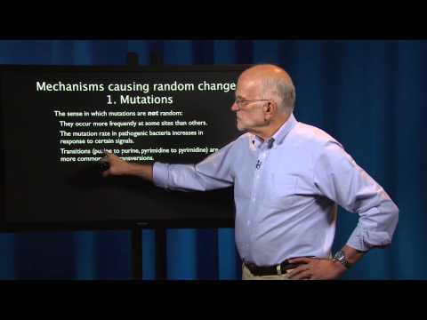 Evolutionary Thinking: Random Evolution, The Role of Chance