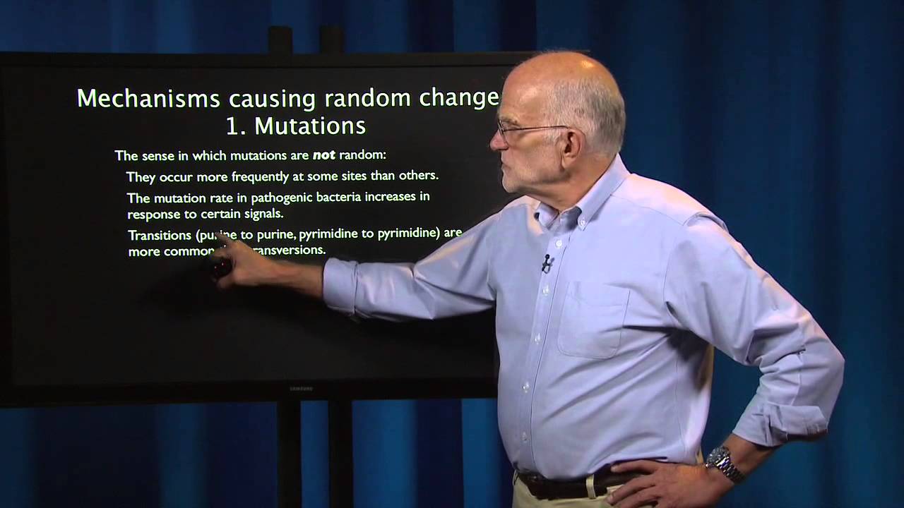 Evolutionary Thinking: Random Evolution, The Role of Chance