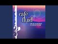 Cafe Fluid
