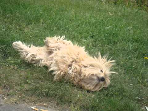 Rust zacht lieve Noppes. 31-05-2012.