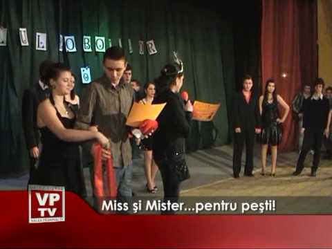 Miss şi Mister… pentru peşti!