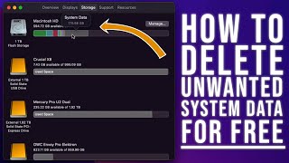 How To Delete Unwanted System Data/Other on Your Mac For Free