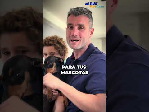 Video Producto