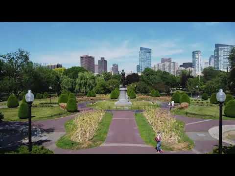 177 Commonwealth Avenue 2, Boston, MA 02116