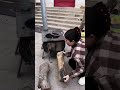 Part 29 Large Size Firewood And Coal Dual Purpose Heating Stove Barbecue Stove Indoor Smokeless