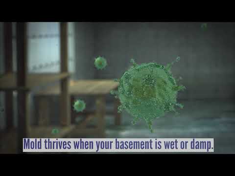 Why You Should Waterproof Your Basement