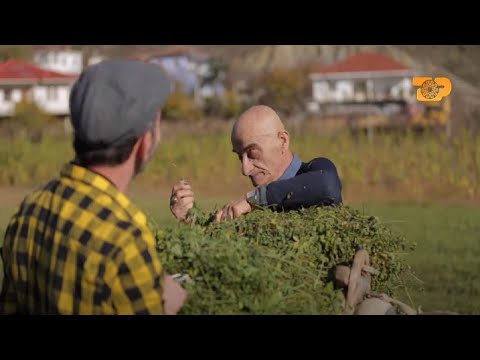 N'fermë: Pasi tradhtoi gruan, Cekja i Beratit bën deklaratën e papritur “E Diell”, 13 Dhjetor 2020