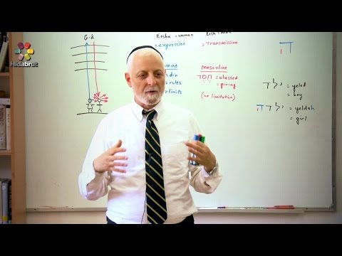 The Mystical Letter Hei - Part 9: The Hebrew Letters & Human Biology - Rabbi Yaakov Marcus