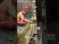 29 07 2024 श्रावण दूसरा सोमवार Baba Baidyanath Dham Shravan Mela 2
