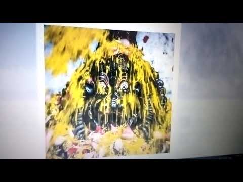 S.B.5.18.8 Destroying The Karma by Manimayee Lalita DD