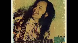 David Lindley - Bye Bye Love