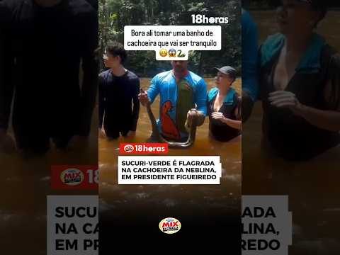 Sucuri-verde é flagrada na Cachoeira da Neblina, em Presidente Figueiredo