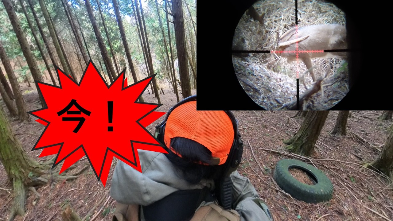 あなたは撃つか？銃を撃つ判断【解説付忍び猟R05】