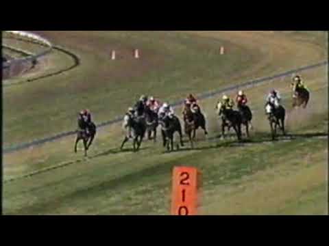 1991 San Domenico Stakes - Tierce