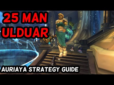 Auriaya Boss Ulduar 25 man Wotlk Tactics - How To Kill Boss with Cats - Ulduar 25 man - @pov-game