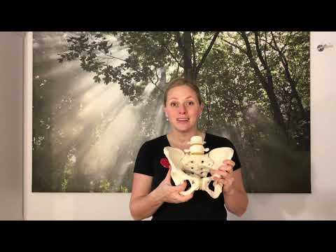 Hjärtats lectures - Birth