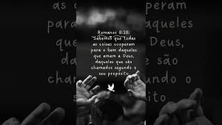 Romanos 8 capitulo 28