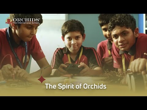 Orchid International School